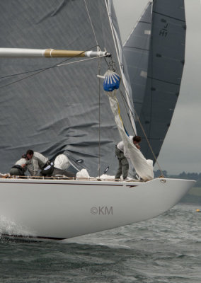 DSC_2623_12623.jpg