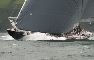DSC_2630_12623.jpg