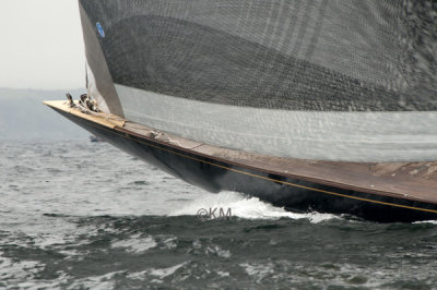 DSC_2427_12623.jpg