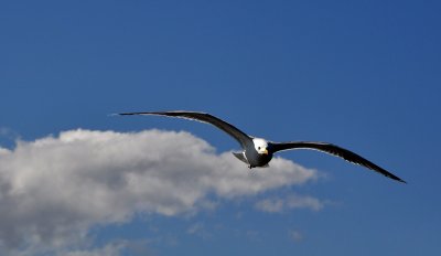 g4/53/584353/3/135884979.QM3cMbW6.jpg