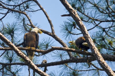 image005.jpg