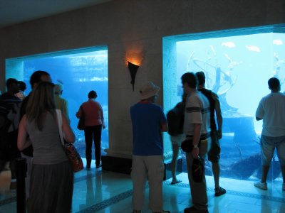En el acuario del hotel Atlantis, uno de los ms grandes del mundo.