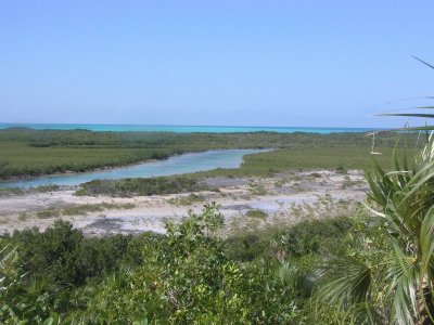 al otro lado los manglares