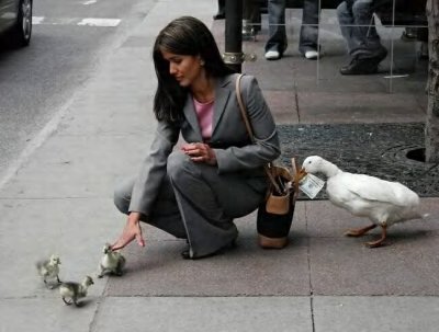 AFLAC scam.jpg