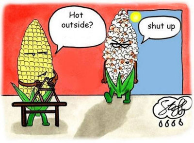 Hot-Weather-Corn-Popped.jpg