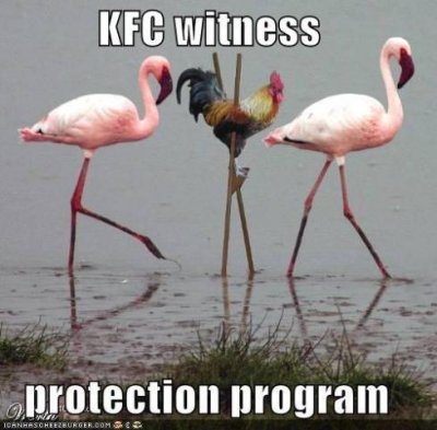 kfc witness protection program.jpeg