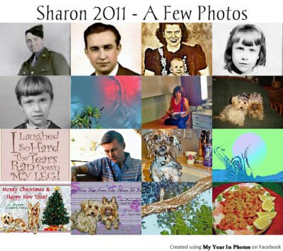 FB-photo-collage-2011WEB.jpg