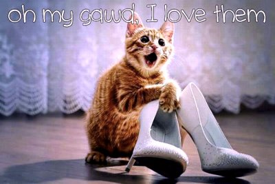 cat loves shoes.jpg