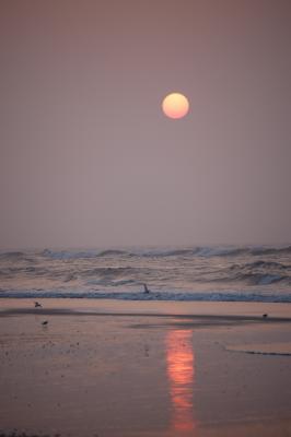 Distant Horizon