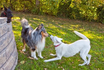 Hans and Jake playing