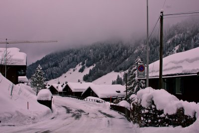 IMG_3851.jpg