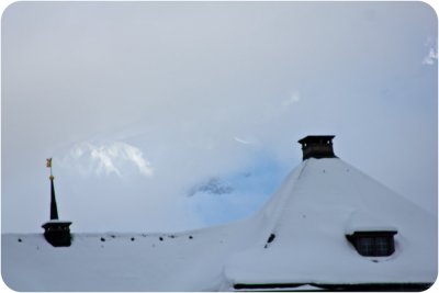 IMG_3935.jpg