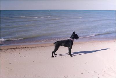 Lake Michigan, Lake View Beach, IN