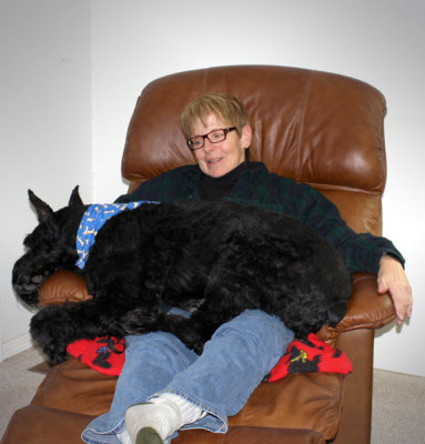 Giant Lap Dog