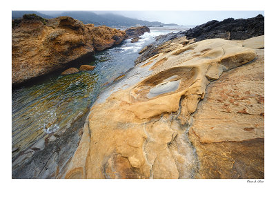 Point Lobos_ California.jpg