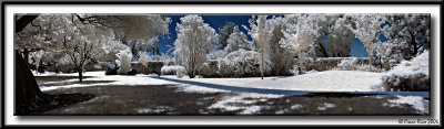 Pano_Infrared_F.jpg