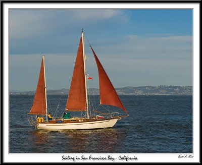 Sailing in San Francisco Bay.jpg