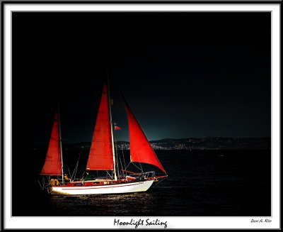 Moonlight Sailing.jpg