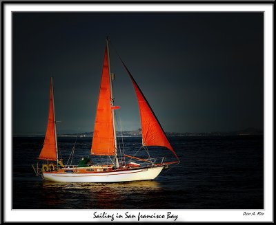 Sailing in San Francisco Bay.jpg