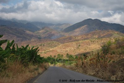 Udzungwa Mountains