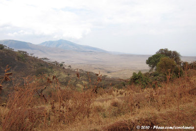 From the crater rim down towards the Serengeti
