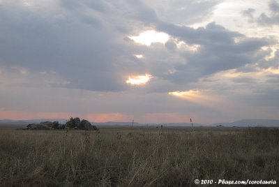 Serengeti and Ngorongoro