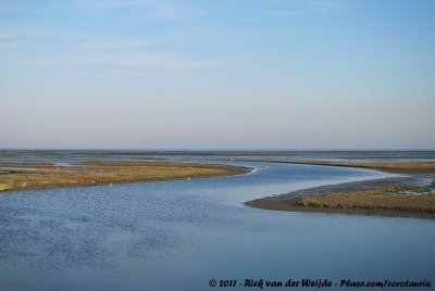 The Wadden Sea