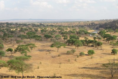 Overviewing Tarangire