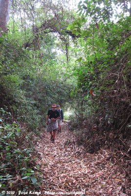 Rick birding the forest