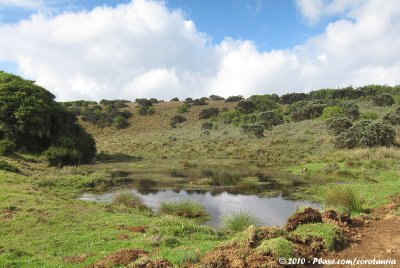 Montane wetland