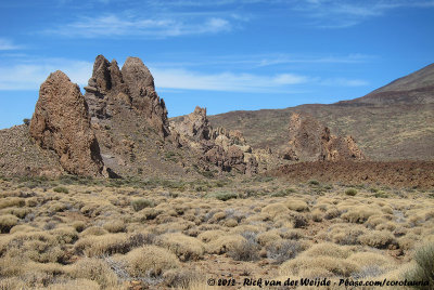 Rock formations of Parque Nacional del Teide