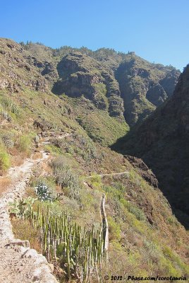 Scenic route into the Barranco