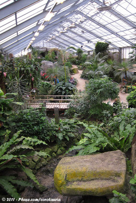 The Butterfly Greenhouse