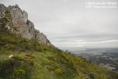 View over False Bay