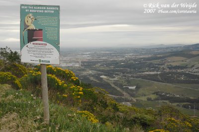 Baboon sign overviewing the urban area around Cape Town