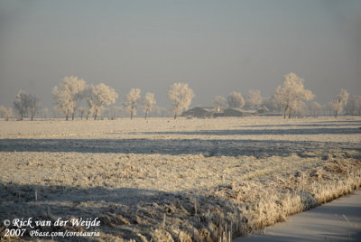 Witte Zuidplaspolder