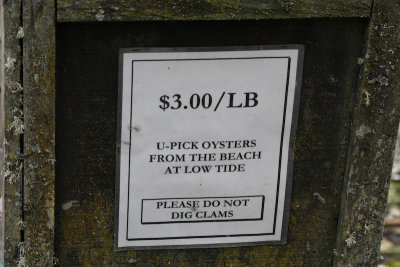 U-Pick Oysters