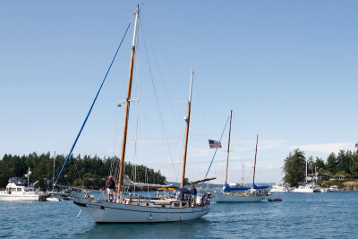 Sailboats in Roche Harbor