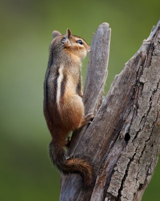 530R0024.jpg