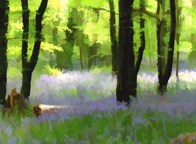 g4/53/67053/3/60221592.artloginthebluebellwoodcopy.jpg