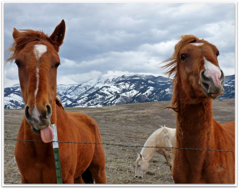 windy afternoon with the guys.jpg