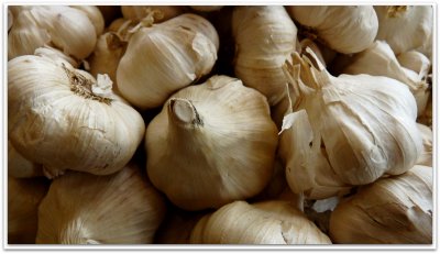 coop garlic