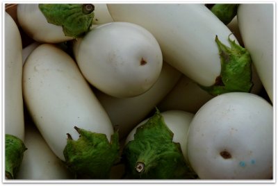 white eggplant