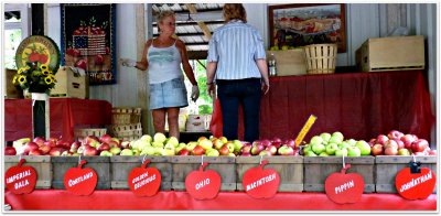 anderson apple orchard.jpg