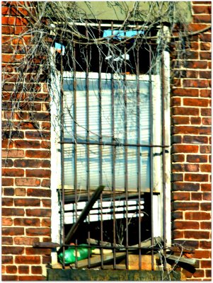 sad window.jpg
