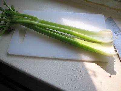 summer celery