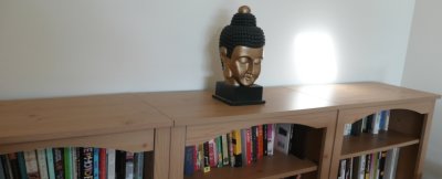 library.