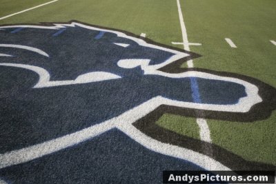 Ford Field - Detroit, MI