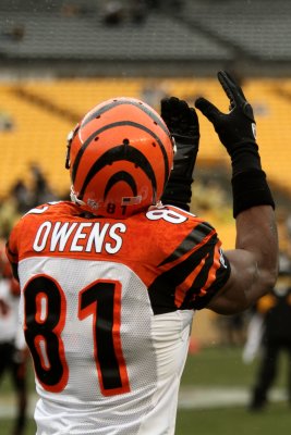 Cincinnati Bengals WR Terrell Owens