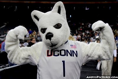 UCONN Huskies mascot